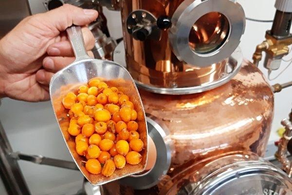 Gin-Brennereiführung@Home - Ganz Deutschland