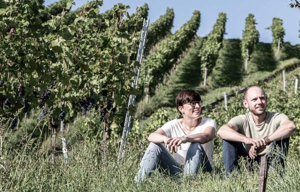 Ein Nachmittag im Weingut - Weinstadt-Strümpfelbach