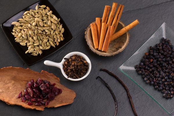 Gin-Brennkurs mit Gin-Cocktails - Esslingen