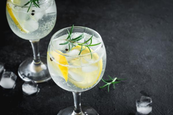 Gin-Seminar – Karlsruhe - Karlsruhe