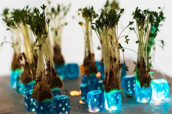 Kunst & Dinner - Berlin