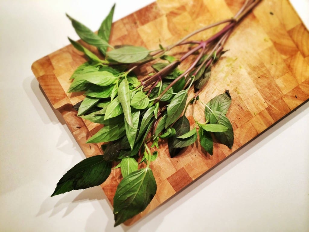 Thaibasilikum-Küchenkräuter