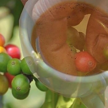 Baristakurse bei Jörg Volkmann in Freiburg - Miomente Entdeckermagazin