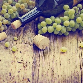 Weinseminare bei Dominik Frank in Regensburg - Bert's Weinexpress | Miomente Entdeckermagazin