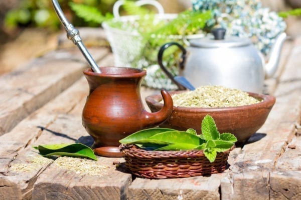 Stevia wurde schon von den Ureiwohnern Paraguays zum Süßen von Mate-Tee genutzt
