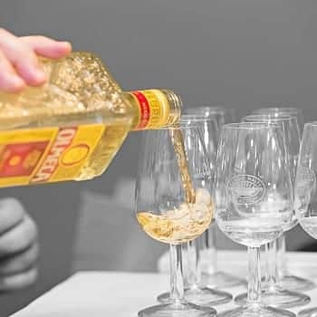 Spirituosen-Verkostungen in Wien – Erhard Ruthner lädt in die Welt von Whisky und co ein | Miomente Entdeckermagazin