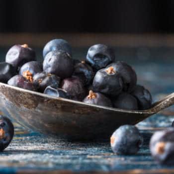 Wacholder ist die klassische Geschmacksrichtung von Gin
