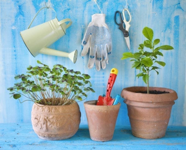 Zur Grundausstattung auf dem Balkon gehören Gießkanne, Gartenschere und Schaufel