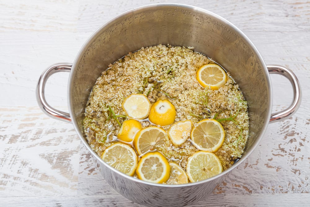 Holunderblütensirup selber einkochen