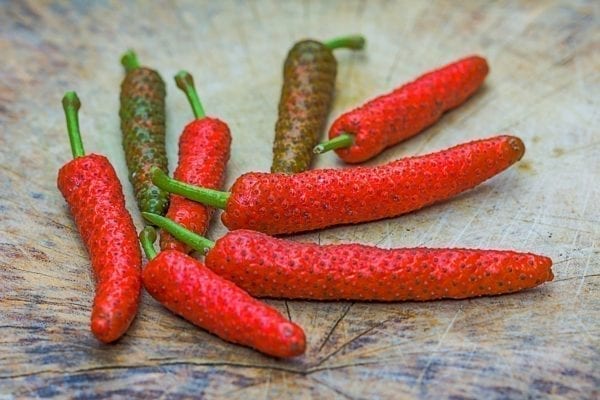 Frischer indonesischer Langpfeffer - Pfeffersorten Miomente Entdeckermagazin