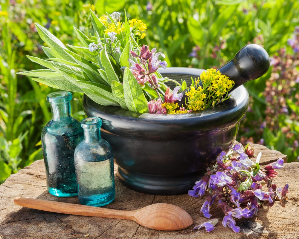 Kräuterwanderung mit Kräuterkochkurs in Münster