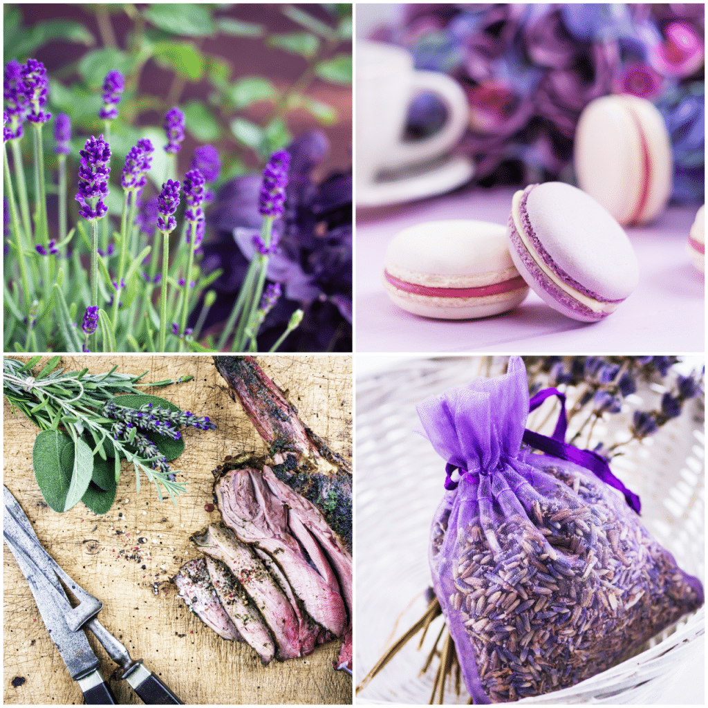 Lavendel ist vielseitig - ob in Macarons, als Fleischgewürz oder als Wäscheduft