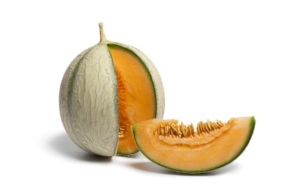 Charentais-Melone - Melonensorten