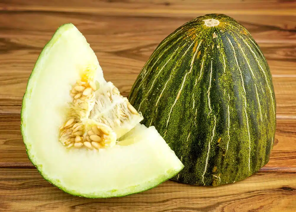 Futuro-Melone - Kleine Melonenkunde