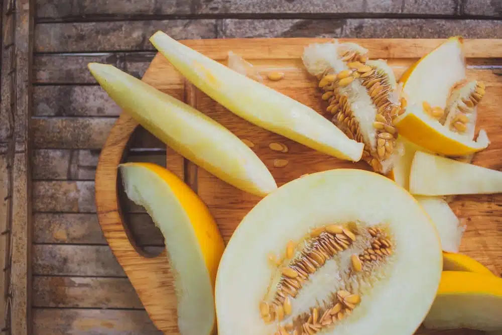 Honigmelone - kleine Melonenkunde Miomente Entdeckermagazin