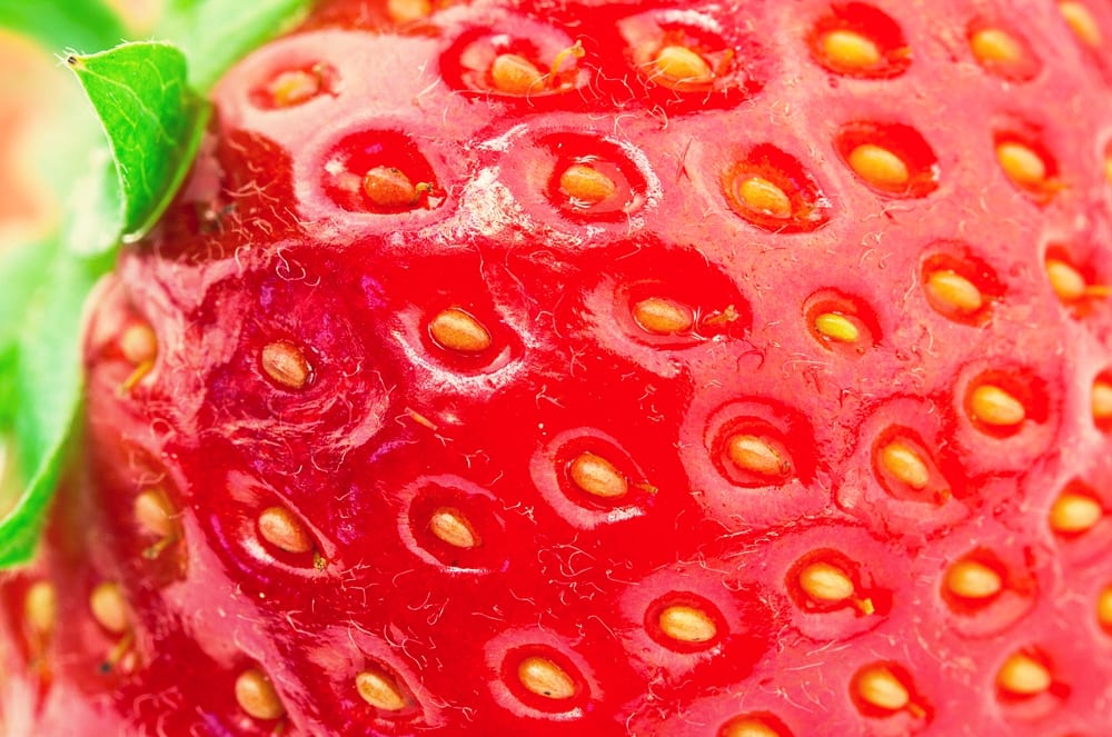 Nahaufnahme Erdbeere