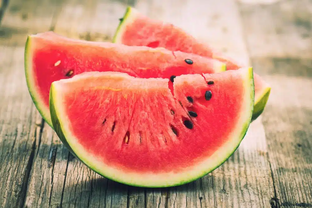 Wassermelone - kleine Melonenkunde Miomente Entdeckermagazin