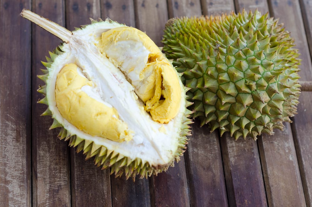 Durian oder Stinkfrucht - Miomente Entdeckermagazin Quiz