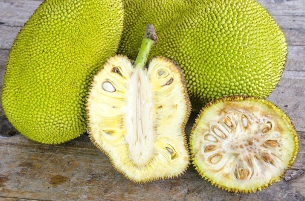 Jackfruit- Miomente Entdeckermagazin Quiz