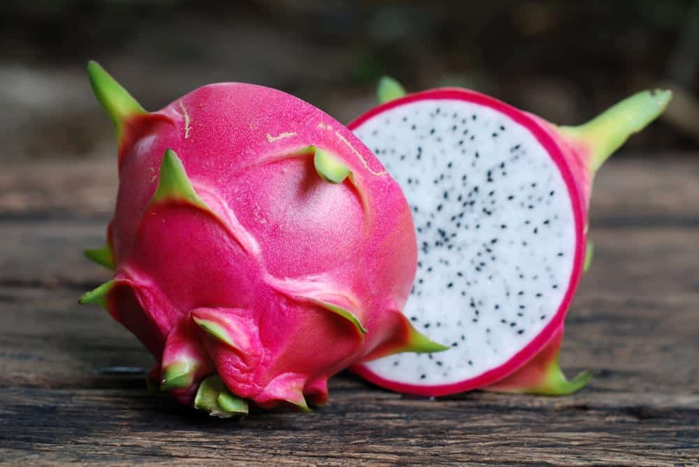 Drachenfrucht oder Pitahaya - Miomente Entdeckermagazin Quiz