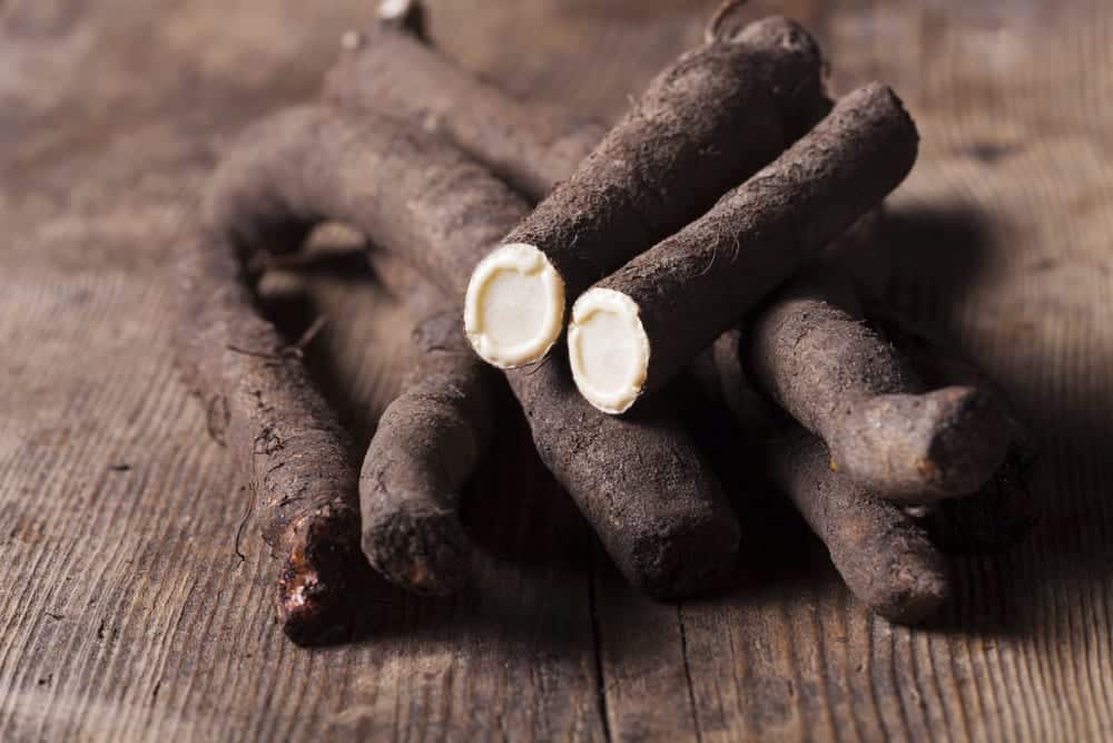 Die Schwarzwurzel gilt unter den vergessenen Gemüsesorten als der Spargel des Winters.