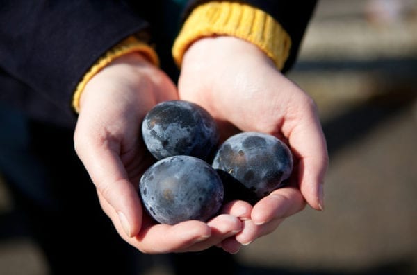 Kuro-tamago - Eier mit schwarzer Schale aus den heißen Quellen von Hakone