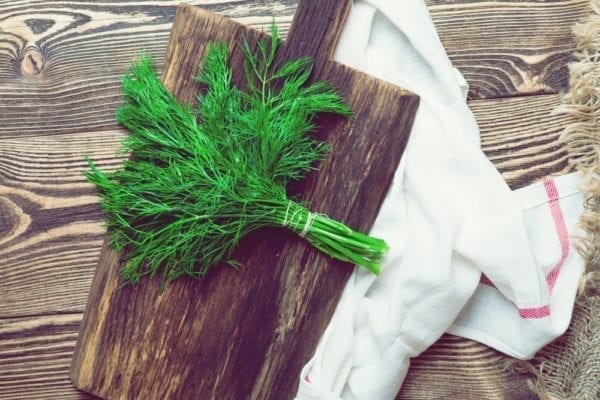 Kochschule FOODATLAS in Hannover von Alla Maer – Kreative Kochkurse | Miomente Entdeckermagazin