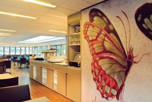 Kulinarische Schifffahrt in Frankfurt mit der Primus-Linie