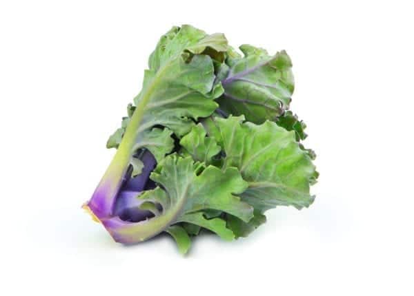 Kalettes oder Flower Sprouts sind eine Kreuzung zwischen Rosenkohl und Grünkohl