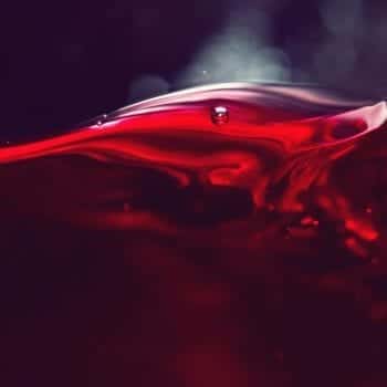 Garibaldi Filiale Nymphenburg mit Filialleiter Ferdinand Schwarzbauer – Edle Weinseminare und Sensorik Kurse