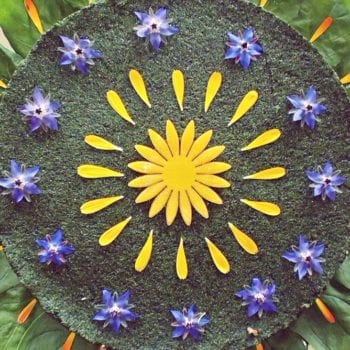 Vegane Kochkurse bei Silvia Lehmann aus Stuttgart - Grüne, vegane Torte | Miomente Entdeckermagazin