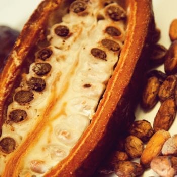 Backkurse bei Chocolatier Frank Simon - Kakaobohnen | Miomente Entdeckermagazin