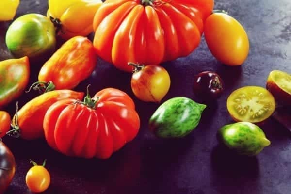 Tomatensorten - Entdeckermagazin - Miomente