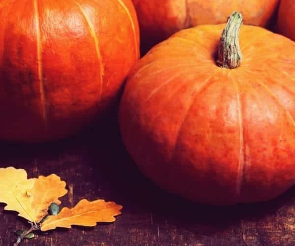 Herbst im Glas: Unser Rezept für einen selbstgemachten Pumpkin-Spice-Latte | Miomente Entdeckermagazin