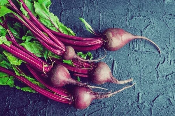 Rote Bete - Entdeckermagazin - Miomente