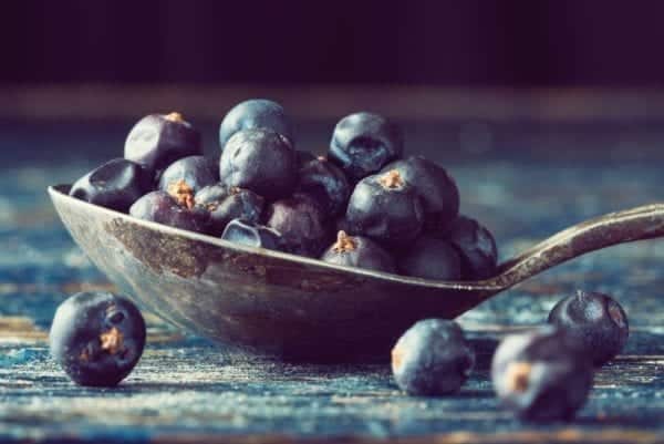 Cocktailrezept von Bar Manager Roman Kern aus Sophia's Bar im Charles Hotel München - Spritzige Cocktail-Kurse | Miomente Entdeckermagazin