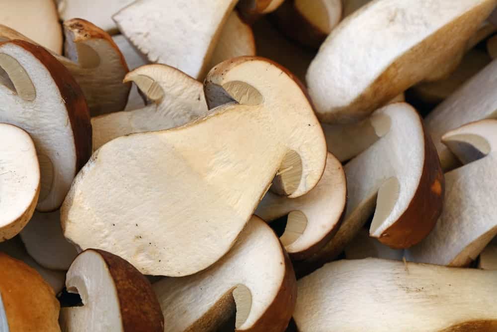 Steinpilz durchgeschnitten