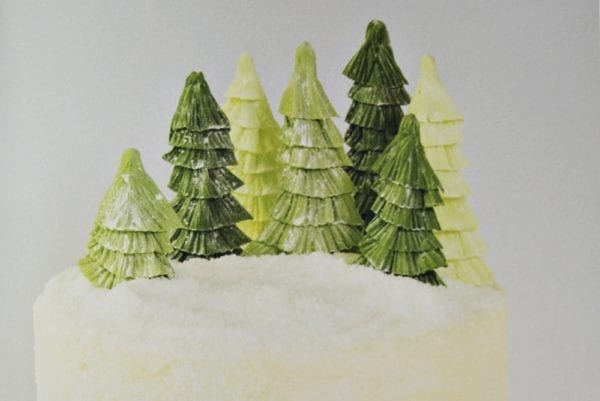 Backbuch Stephanie Rinner – Tortenkunst und Keksdesign - Weihnachtsbäume - Entdeckermagazin Miomente
