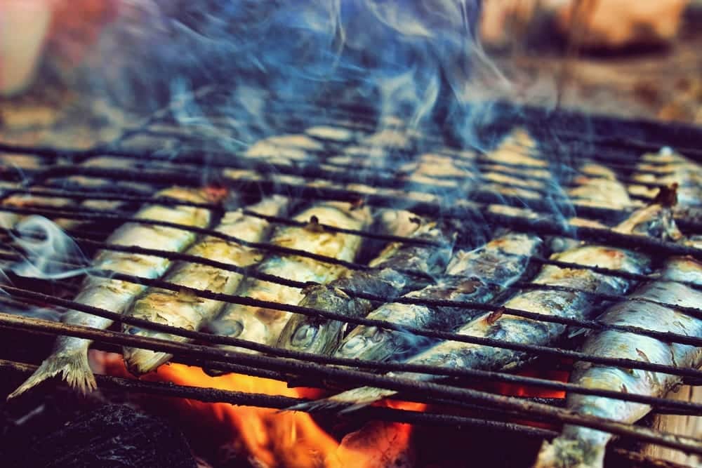 Fischers Fritz: Gastbeitrag von Markus Kieslich - Alles über das Thema Fisch | Miomente Entdeckermagazin