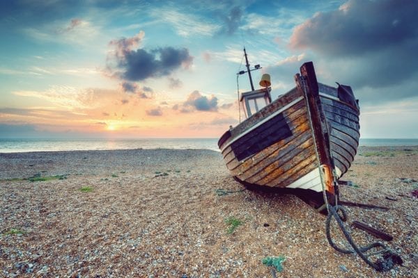 Fischers Fritz: Gastbeitrag von Markus Kieslich - Alles über das Thema Fisch | Miomente Entdeckermagazin