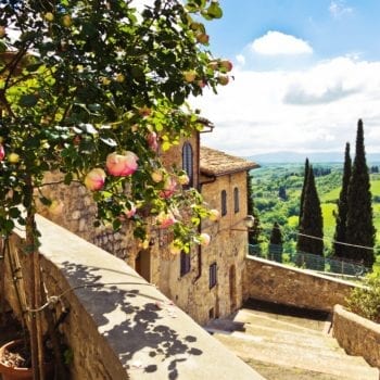 Raffaele Trongones Geheimtipps aus der italienischen Küche – Alles über Tomatensaucen, Risotto, Panna Cotta und Arancini | Miomente Entdeckermagazin