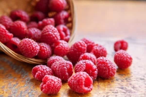 Rezept Apfel-Himbeeren-Crumble mit Vanillesauce von SOUTHkitchen Berlin - Kochkurse in Berlin | Miomente Entdeckermagazin