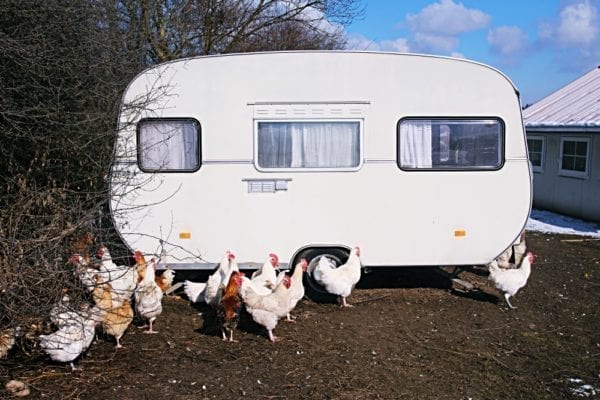 Herrmannsdorfer Landwerkstätten – Bio-Fleisch & Regionale Bio-Produkte | Miomente Entdeckermagazin