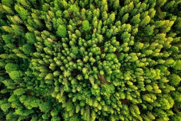 Küchen-Know-How – Holzbretter im Test | Miomente Entdeckermagazin