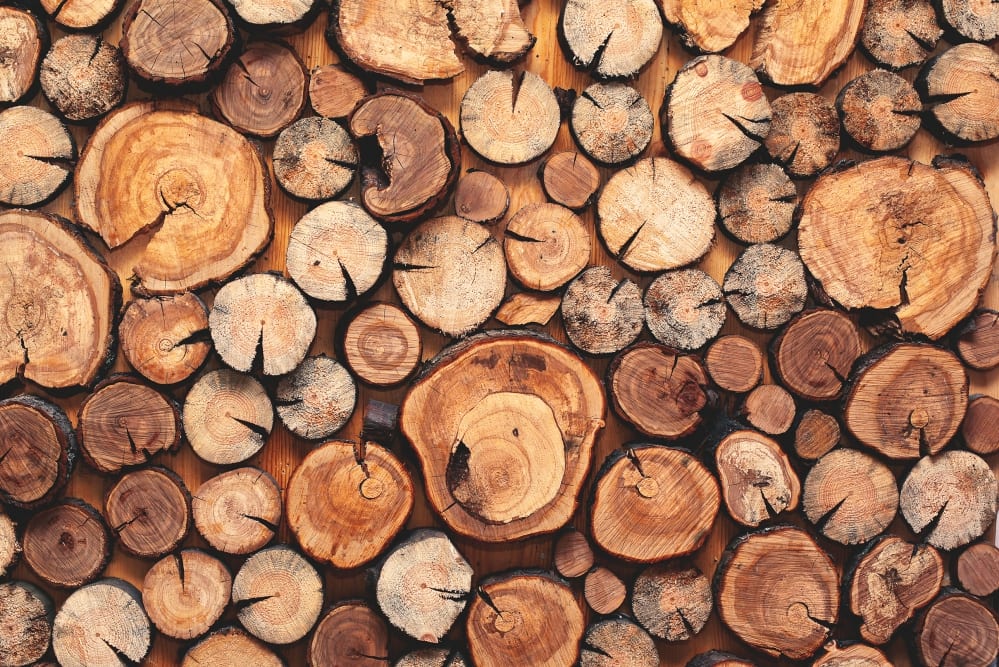 Küchen-Know-How – Holzbretter im Test | Miomente Entdeckermagazin