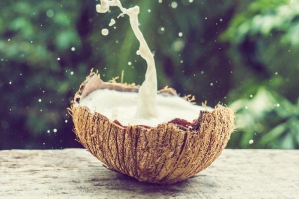 Kokosnussprodukte-Kokos und Kokosmilch - Entdeckermagazin - Miomente