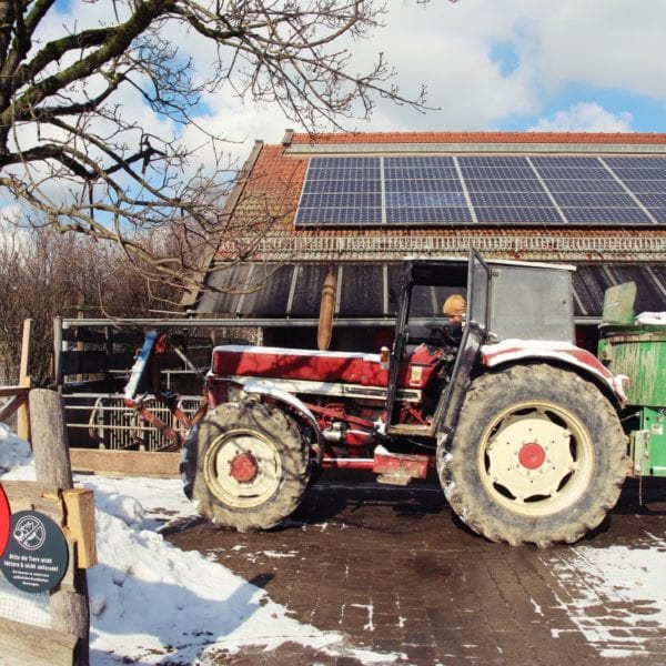 Das Schweinedorf der Herrmannsdorfer Landwerkstätten: Bio zum Anschauen
