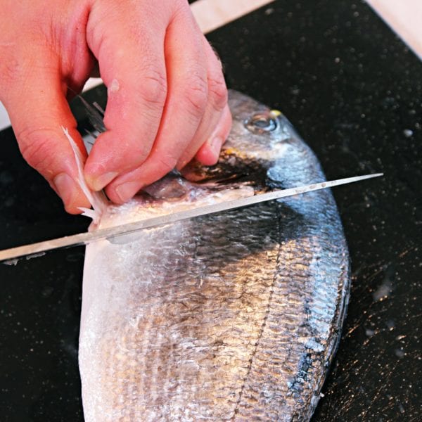 Koch Markus Kieslich filetiert eine Dorade und einen Steinbutt - Entdeckermagazin - Miomente