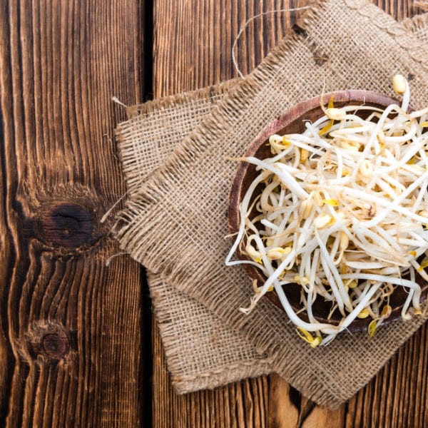 Mungobohnenkeimlinge für Pho Bo