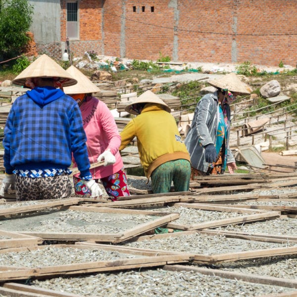 Fischersfrauen legen Anchovis zum Trocknen aus